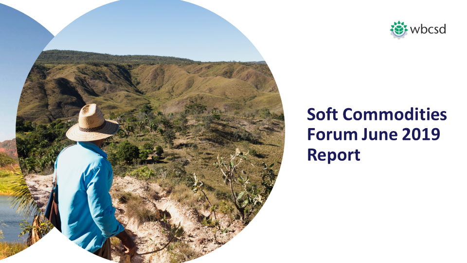 Soft Commodities Forum June 2019 Report 