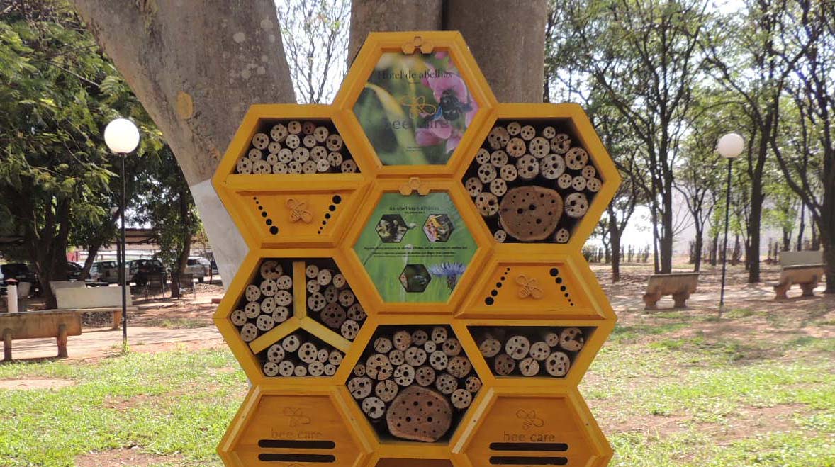 Project Pollinate joined forces with the BeeCare project to build ‘hotels’ for solitary bees