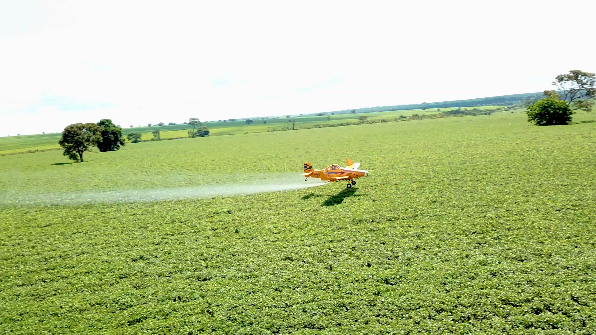 Whenever sprayer drones or planes go near the hives, the sprayer turns off automatically