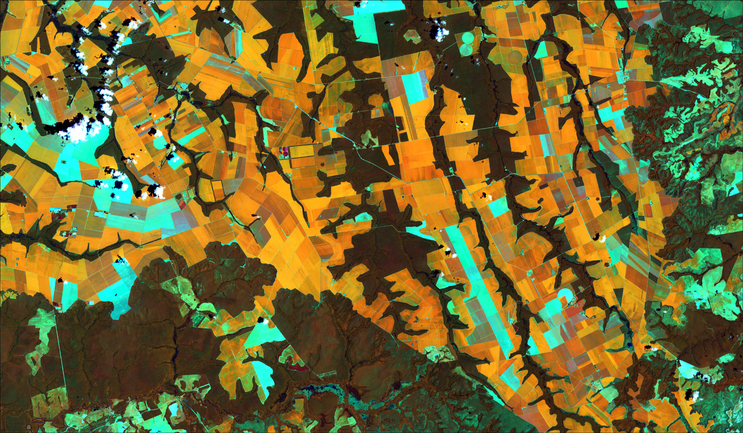 Satellites have also enabled COFCO International to map and assess the compliance of more than 1.2 million hectares of soy farms around Brazil on annual basis.  