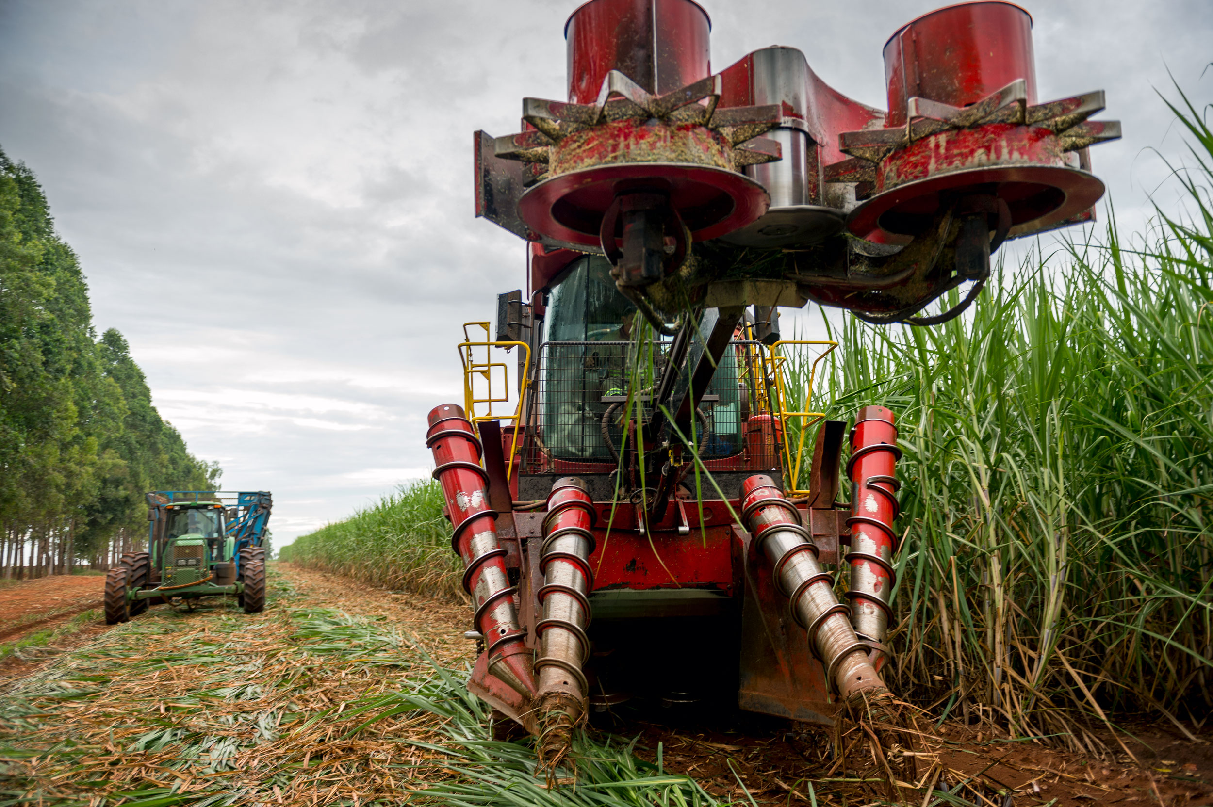 COFCO's sugar mills in Brazil produce sugar and ethanol products that are used in local and international markets