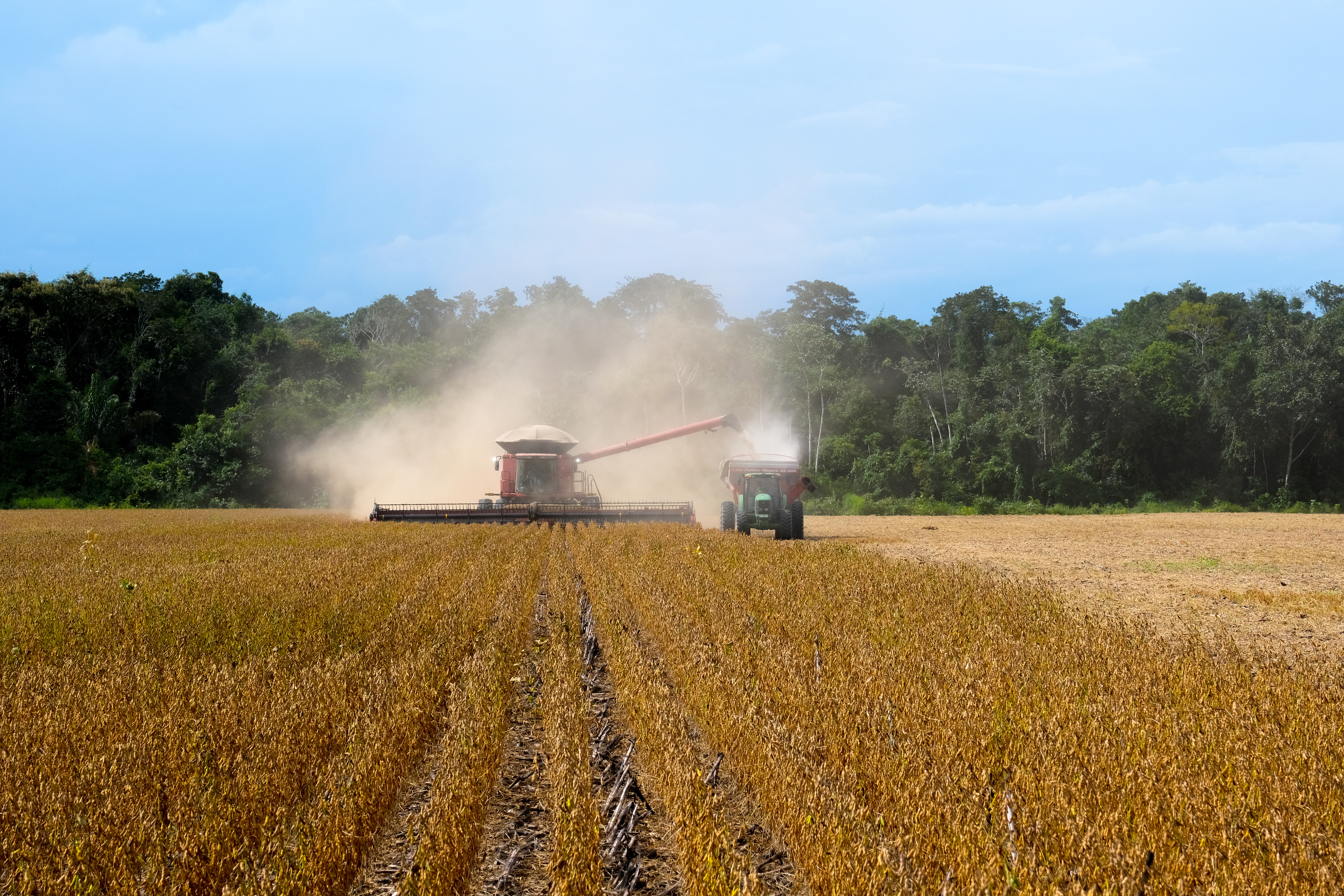 COFCO International’s leadership in traceability in the soy supply chain played a major role in its securing of two sustainability-linked loans, totalling $3 billion.