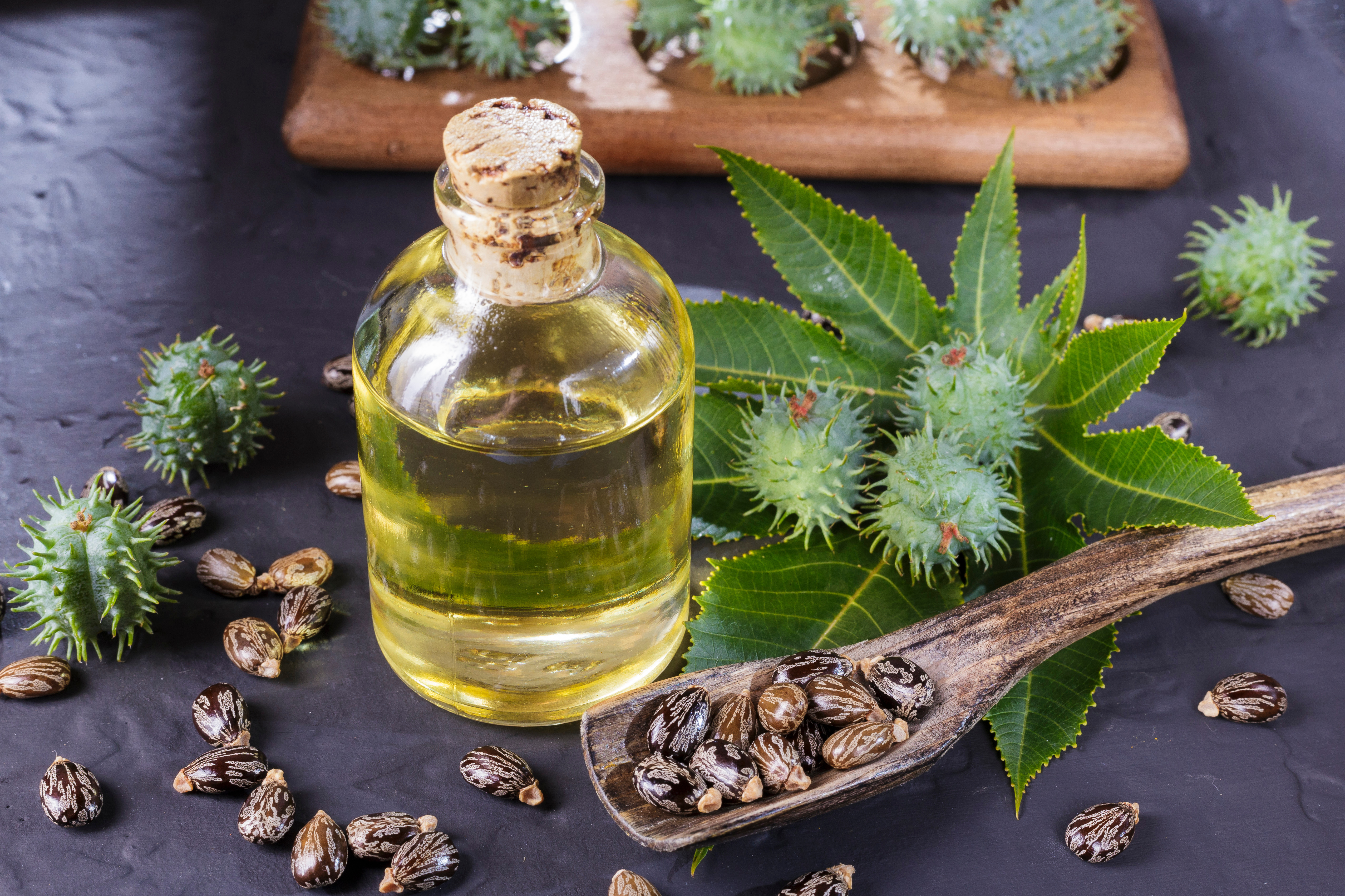 Castor oil is a vegetable oil made from castor beans, which are not edible and can grow on semi-arid and arid land unsuitable for many other crops.